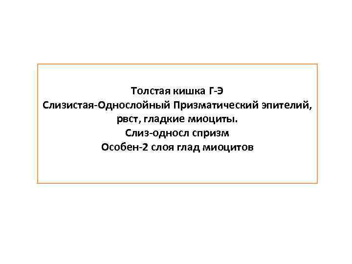Толстая кишка Г-Э Слизистая-Однослойный Призматический эпителий, рвст, гладкие миоциты. Слиз-односл спризм Особен-2 слоя глад