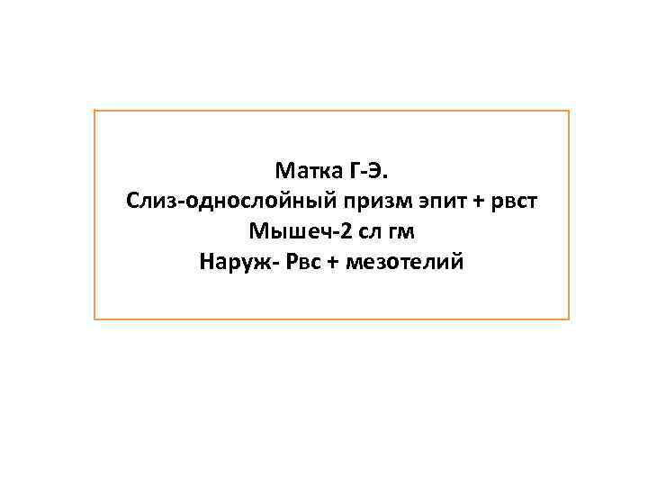 Матка Г-Э. Слиз-однослойный призм эпит + рвст Мышеч-2 сл гм Наруж- Рвс + мезотелий