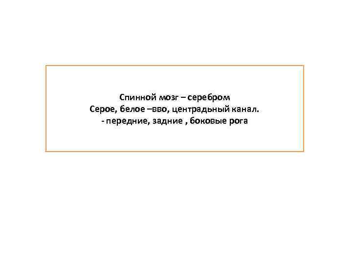 Спинной мозг – серебром Серое, белое –вво, центрадьный канал. - передние, задние , боковые