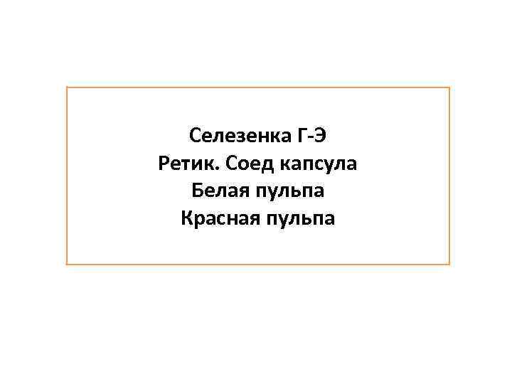 Селезенка Г-Э Ретик. Соед капсула Белая пульпа Красная пульпа 