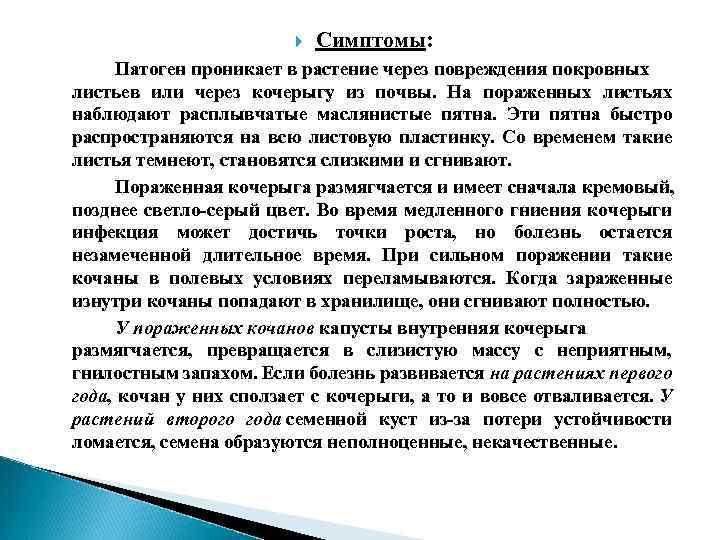  Симптомы: Патоген проникает в растение через повреждения покровных листьев или через кочерыгу из