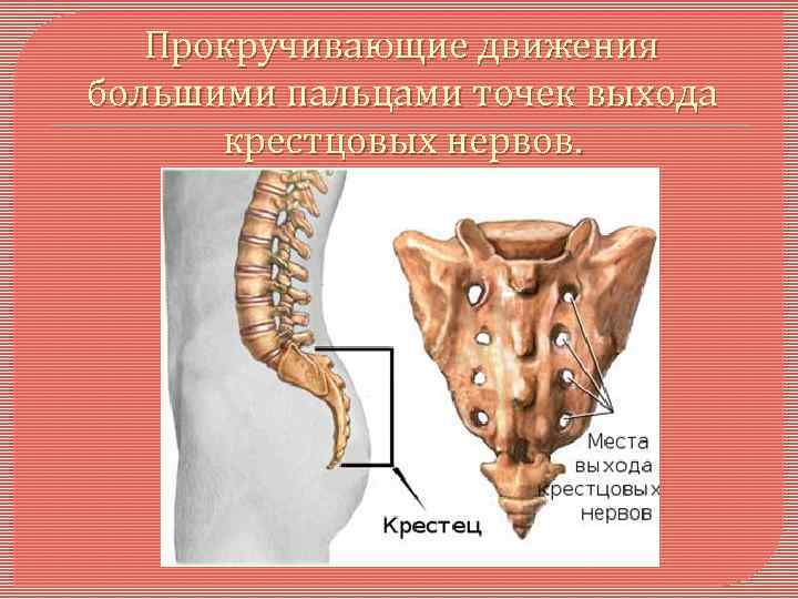 Прокручивающие движения большими пальцами точек выхода крестцовых нервов. 