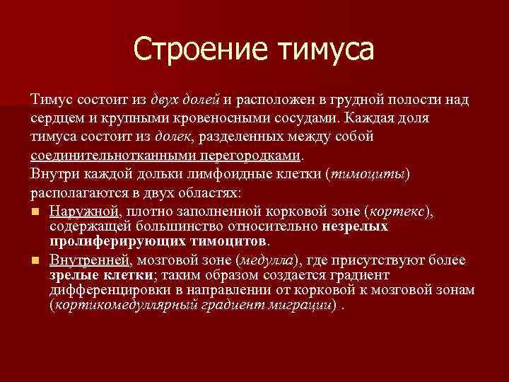 Строение тимуса Тимус состоит из двух долей и расположен в грудной полости над сердцем