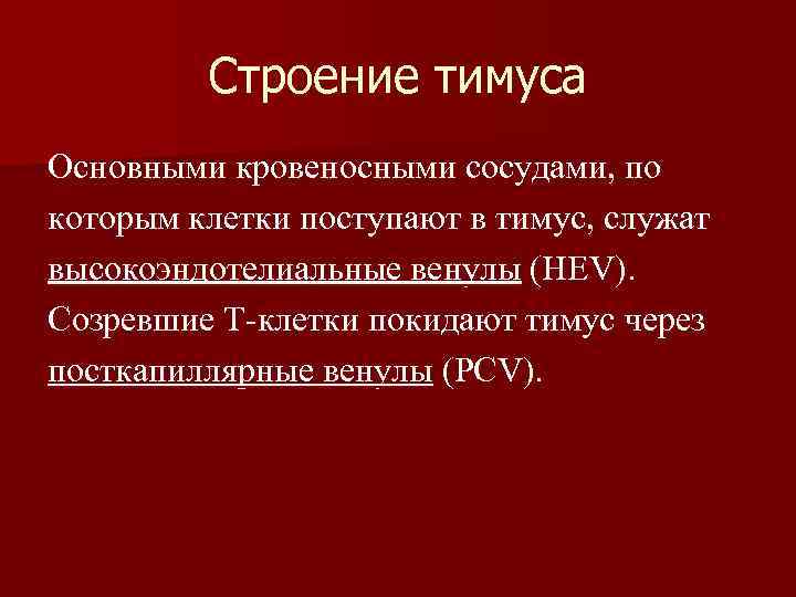 Строение тимуса Основными кровеносными сосудами, по которым клетки поступают в тимус, служат высокоэндотелиальные венулы