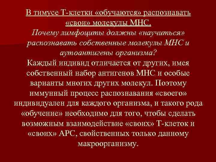 В тимусе Т-клетки «обучаются» распознавать «свои» молекулы МНС. Почему лимфоциты должны «научиться» распознавать собственные