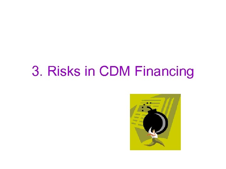 3. Risks in CDM Financing 