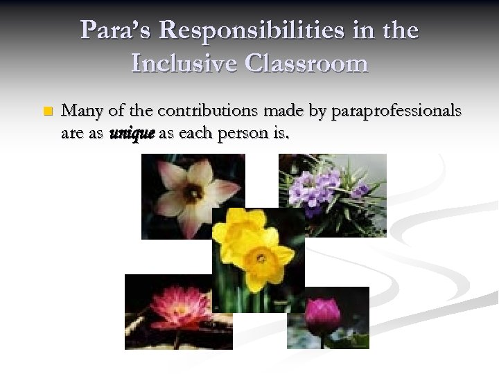 Para’s Responsibilities in the Inclusive Classroom n Many of the contributions made by paraprofessionals