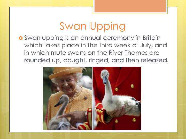 Swan Upping Swan upping is an annual ceremony in Britain which takes place in