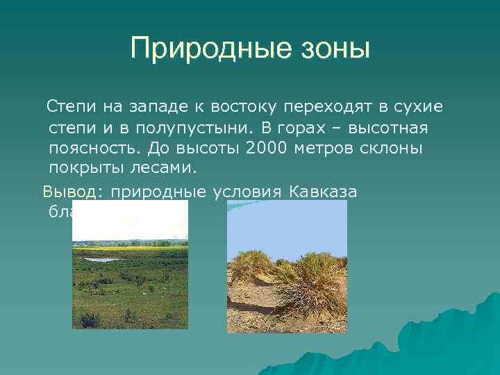 Природные зоны Степи на западе к востоку переходят в сухие степи и в полупустыни.
