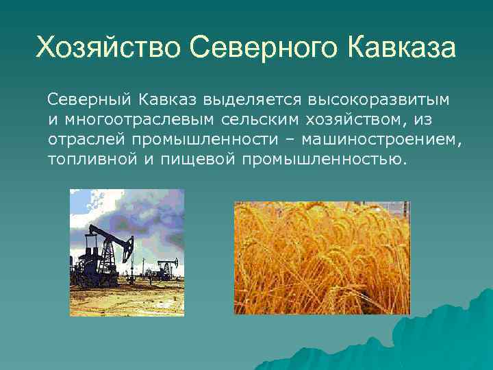 Хозяйство Северного Кавказа Северный Кавказ выделяется высокоразвитым и многоотраслевым сельским хозяйством, из отраслей промышленности