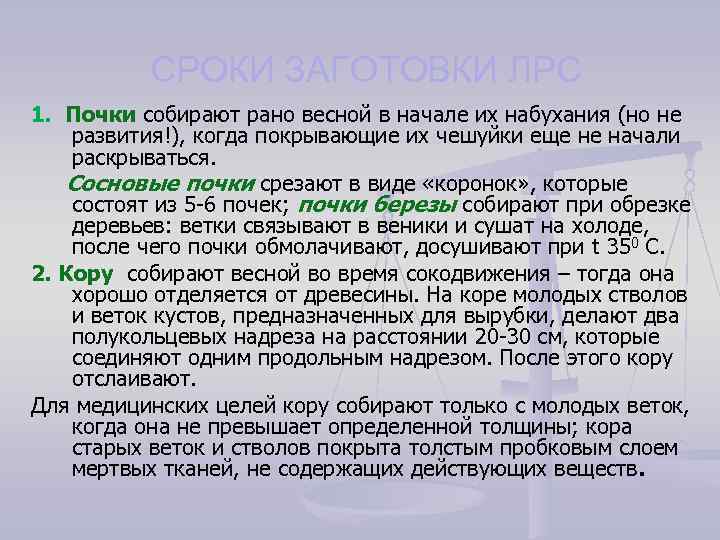 СРОКИ ЗАГОТОВКИ ЛРС 1. Почки собирают рано весной в начале их набухания (но не