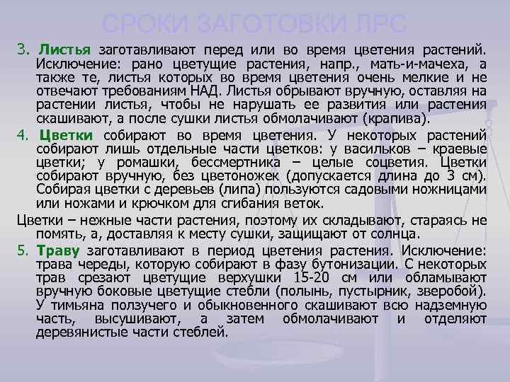 СРОКИ ЗАГОТОВКИ ЛРС 3. Листья заготавливают перед или во время цветения растений. Исключение: рано