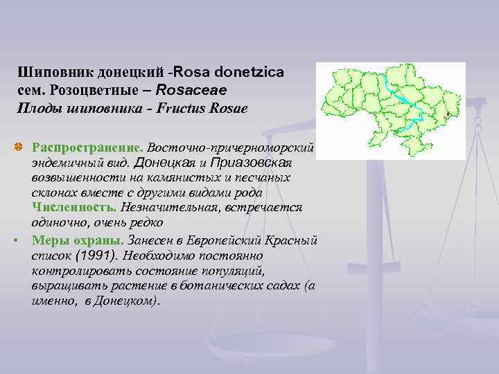 Шиповник донецкий -Rosa donetzica сем. Розоцветные – Rosaceae Плоды шиповника - Fructus Rosae Распространение.