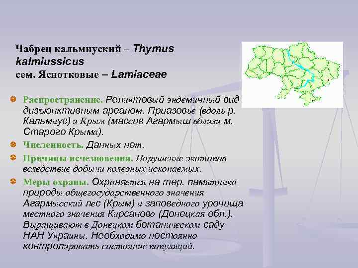 Чабрец кальмиуский – Thymus kalmiussicus сем. Яснотковые – Lamiaceae Распространение. Реликтовый эндемичный вид з