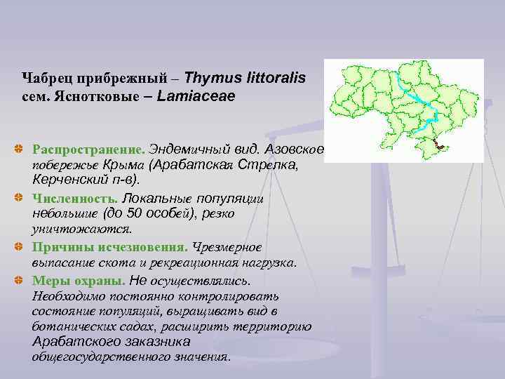 Чабрец прибрежный – Thymus littoralis сем. Яснотковые – Lamiaceae Распространение. Эндемичный вид. Азовское побережье