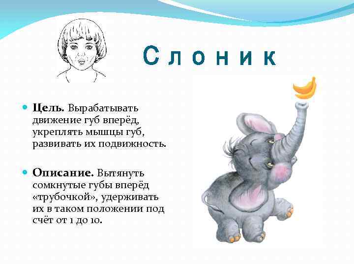 Слоник Цель. Вырабатывать движение губ вперёд, укреплять мышцы губ, развивать их подвижность. Описание. Вытянуть