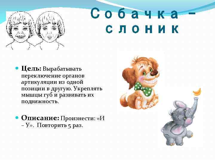 Собачка – слоник Цель: Вырабатывать переключение органов артикуляции из одной позиции в другую. Укреплять