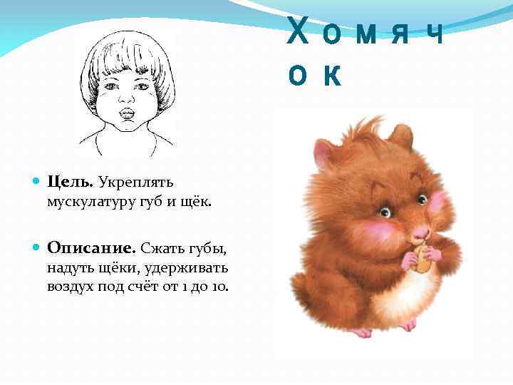 Хомяч ок Цель. Укреплять мускулатуру губ и щёк. Описание. Сжать губы, надуть щёки, удерживать