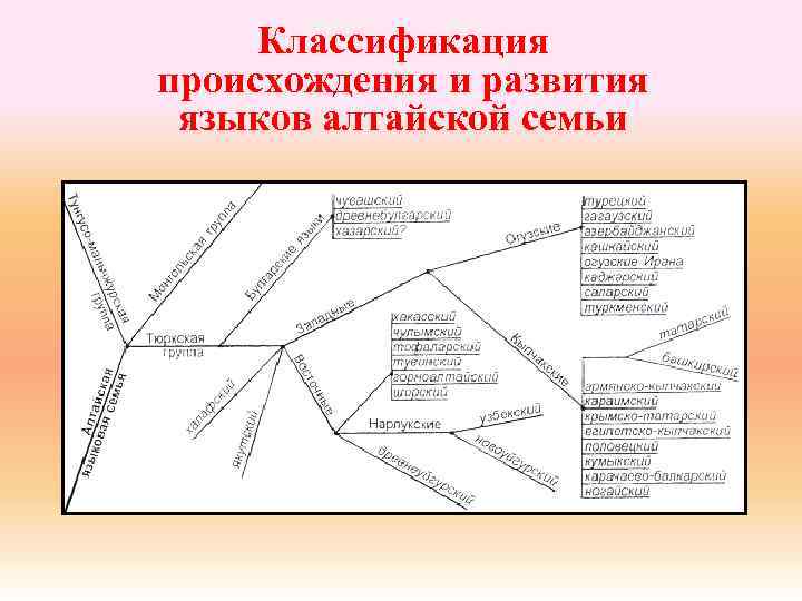 Классификация происхождения и развития языков алтайской семьи 