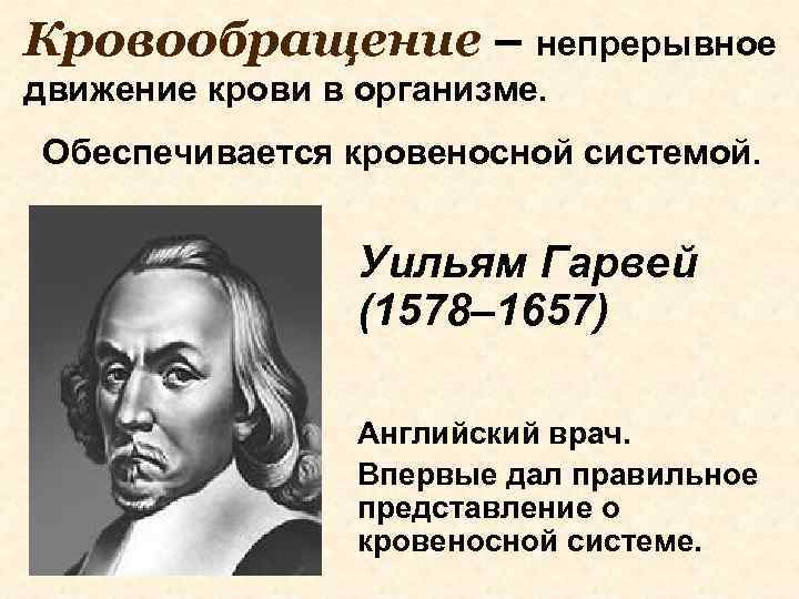 Кровообращение – непрерывное движение крови в организме. Обеспечивается кровеносной системой. Уильям Гарвей (1578– 1657)