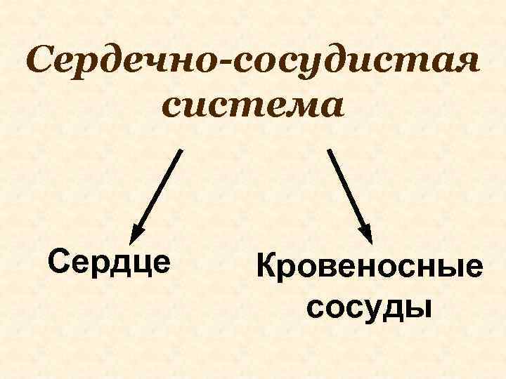 Сердечно-сосудистая система Сердце Кровеносные сосуды 