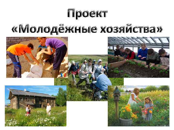 Проект «Молодёжные хозяйства» 