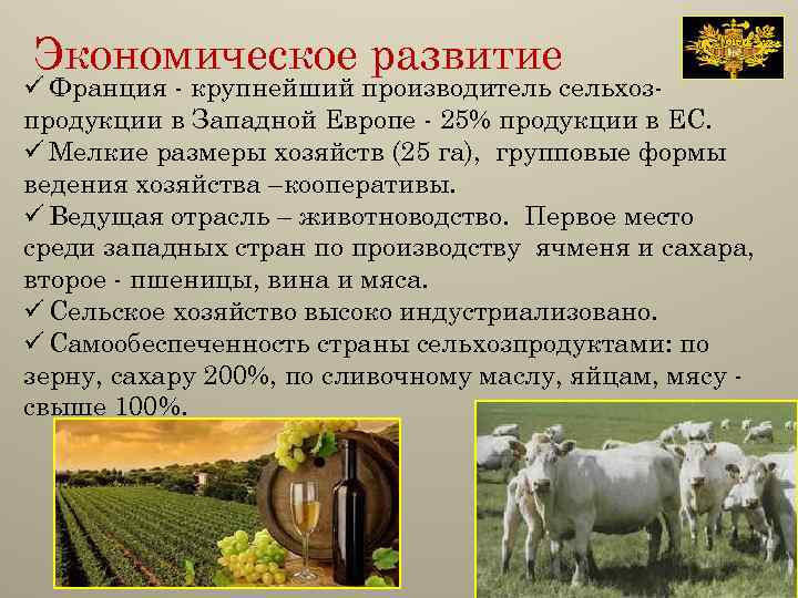 Экономическое развитие ü Франция - крупнейший производитель сельхозпродукции в Западной Европе - 25% продукции