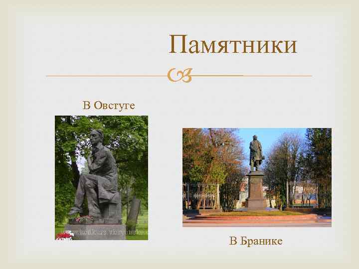  Памятники В Овстуге В Бранике 