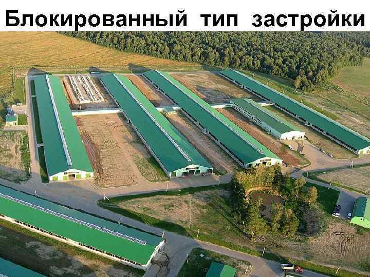 Блокированный тип застройки 