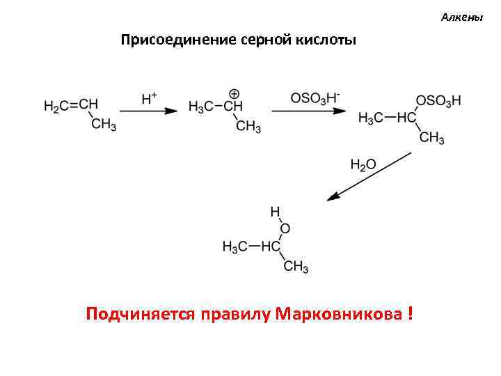 Алкены Присоединение серной кислоты Подчиняется правилу Марковникова ! 
