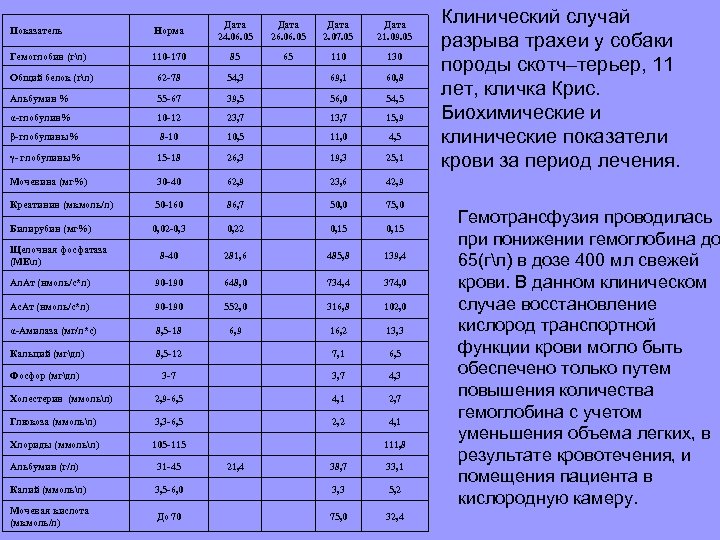 Показатель Норма Дата 24. 06. 05 Дата 26. 05 Дата 2. 07. 05 Дата