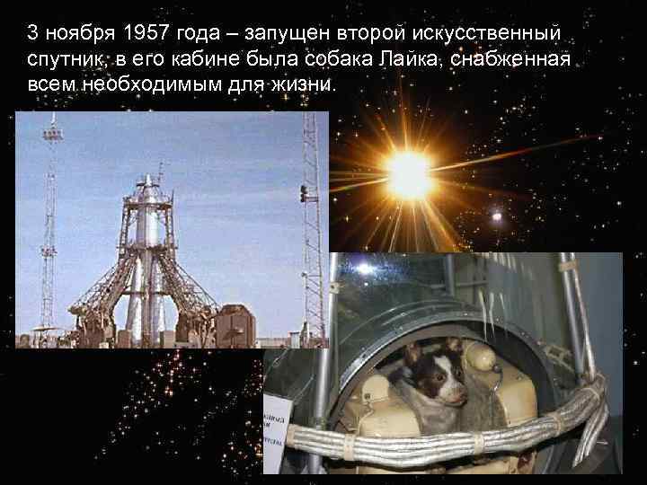 3 ноября 1957 года – запущен второй искусственный спутник, в его кабине была собака