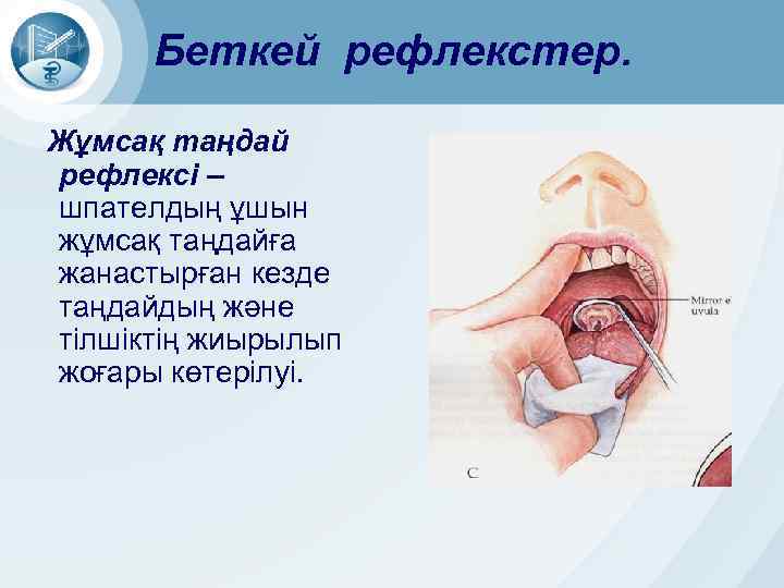 Беткей рефлекстер. Жұмсақ таңдай рефлексі – шпателдың ұшын жұмсақ таңдайға жанастырған кезде таңдайдың және