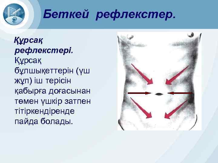 Беткей рефлекстер. Құрсақ рефлекстері. Құрсақ бұлшықеттерін (үш жұп) іш терісін қабырға доғасынан төмен үшкір