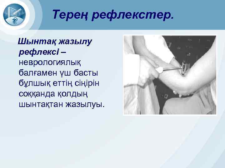 Терең рефлекстер. Шынтақ жазылу рефлексі – неврологиялық балғамен үш басты бұлшық еттің сіңірін соққанда