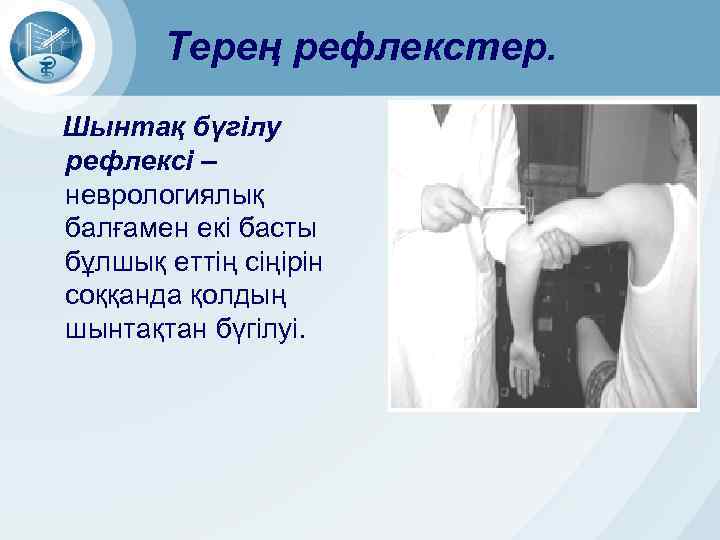 Терең рефлекстер. Шынтақ бүгілу рефлексі – неврологиялық балғамен екі басты бұлшық еттің сіңірін соққанда