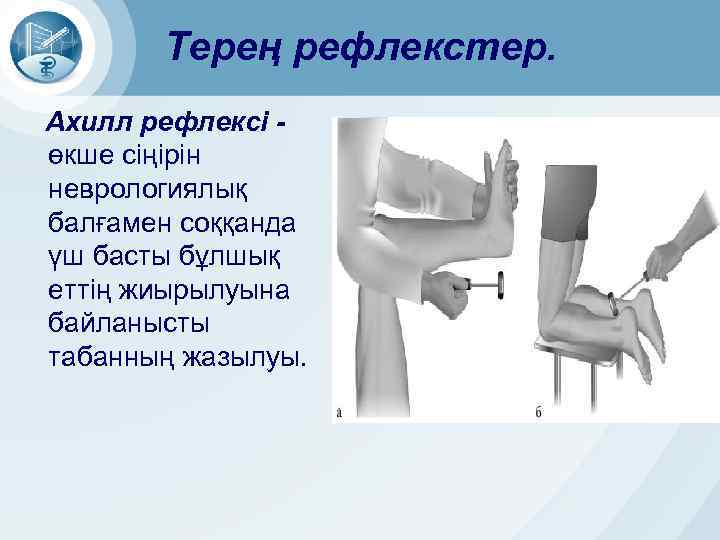 Терең рефлекстер. Ахилл рефлексі өкше сіңірін неврологиялық балғамен соққанда үш басты бұлшық еттің жиырылуына