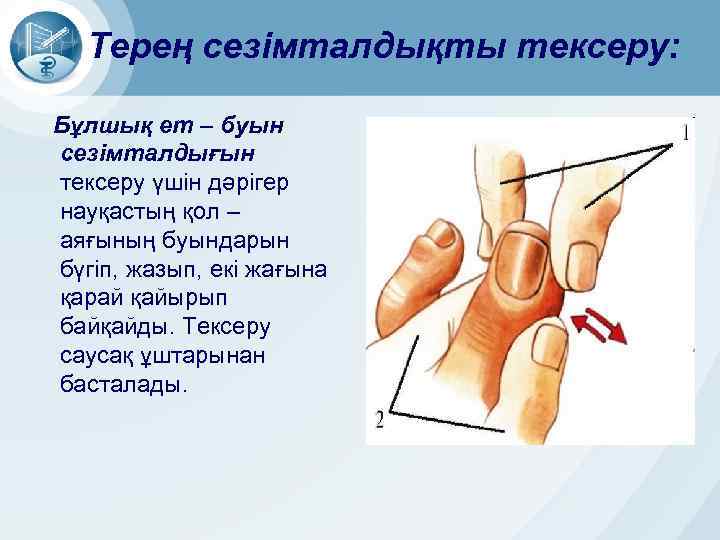 Терең сезімталдықты тексеру: Бұлшық ет – буын сезімталдығын тексеру үшін дәрігер науқастың қол –