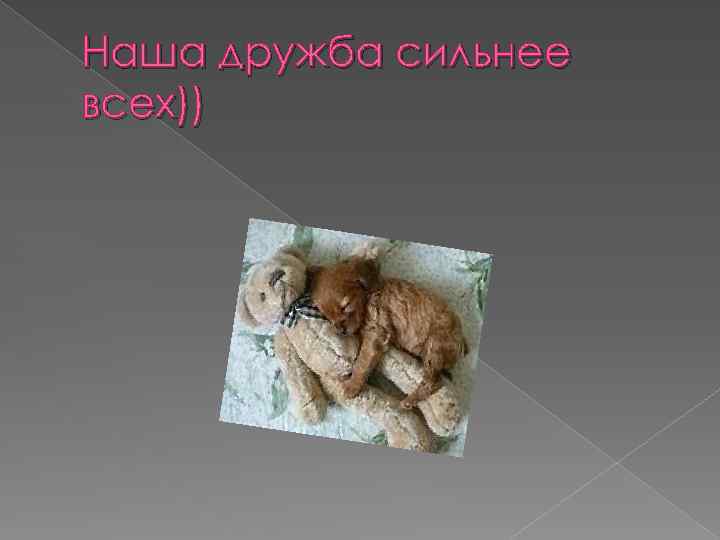 Наша дружба сильнее всех)) 