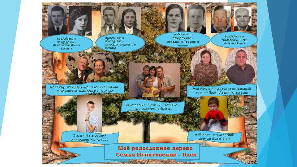 Прабабушка и прадедушка – Игнатовские Иван и Евгения Прабабушка и прадедушка – Халабуда Владимир
