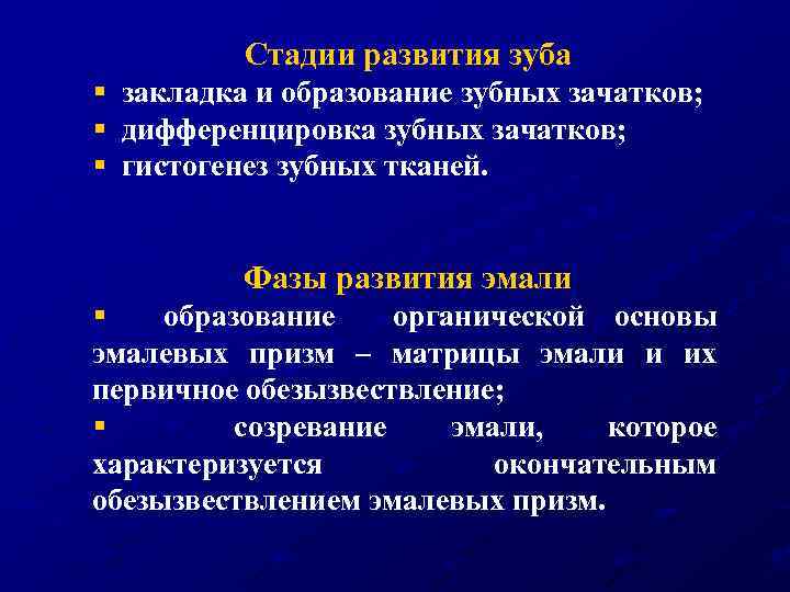 Стадии развития зуба § закладка и образование зубных зачатков; § дифференцировка зубных зачатков; §