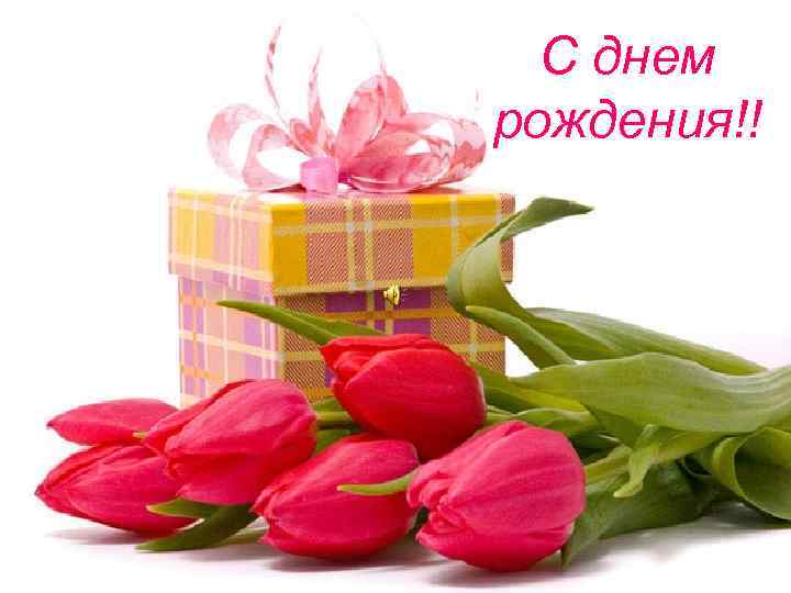 С днем рождения!! 
