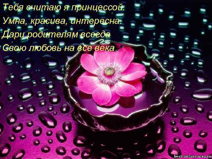 Тебя считаю я принцессой. Умна, красива, интересна. Дари родителям всегда Свою любовь на все