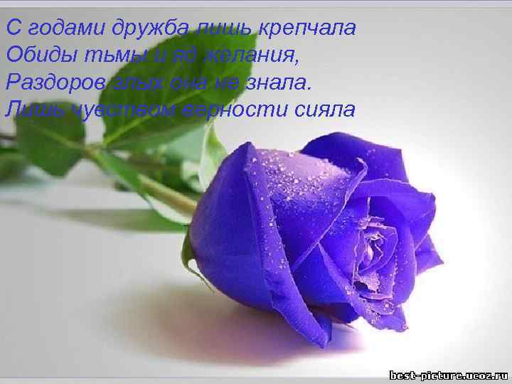 С годами дружба лишь крепчала Обиды тьмы и яд желания, Раздоров злых она не