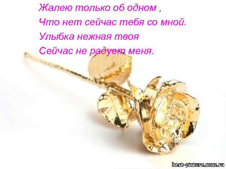 Жалею только об одном , Что нет сейчас тебя со мной. Улыбка нежная твоя