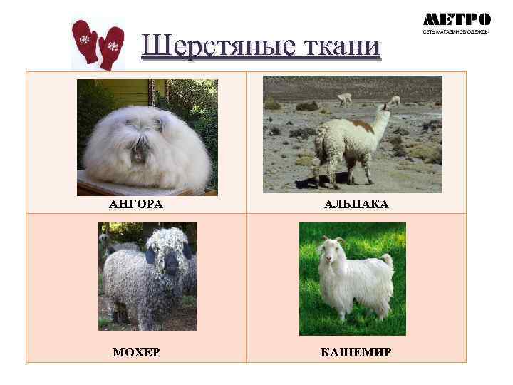 Шерстяные ткани АНГОРА АЛЬПАКА МОХЕР КАШЕМИР 