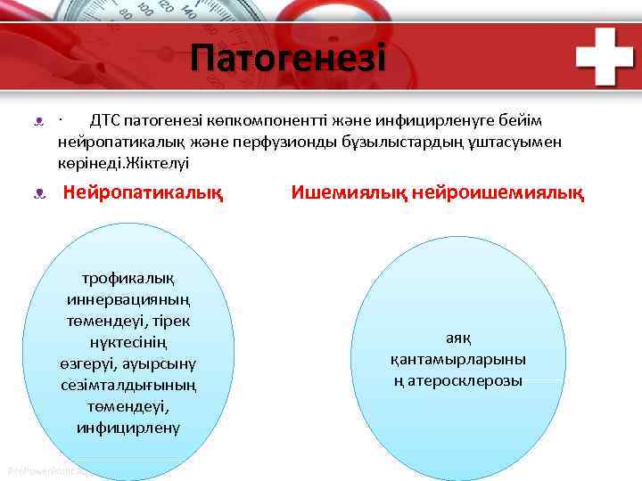 Патогенезі ᴥ · ДТС патогенезі көпкомпонентті және инфицирленуге бейім нейропатикалық және перфузионды бұзылыстардың ұштасуымен