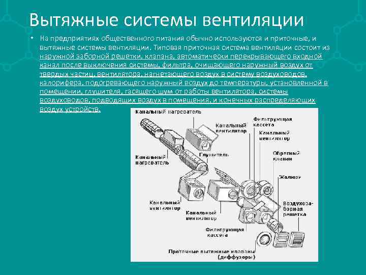 Вытяжные системы вентиляции • На предприятиях общественного питания обычно используются и приточные, и вытяжные