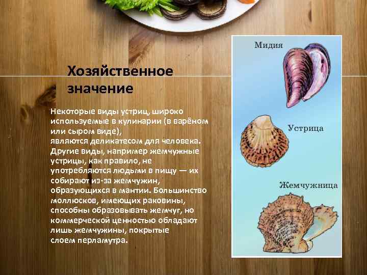 Хозяйственное значение Некоторые виды устриц, широко используемые в кулинарии (в варёном или сыром виде),