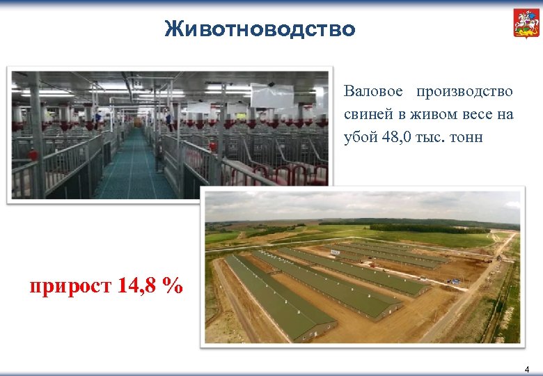 Животноводство Валовое производство свиней в живом весе на убой 48, 0 тыс. тонн прирост